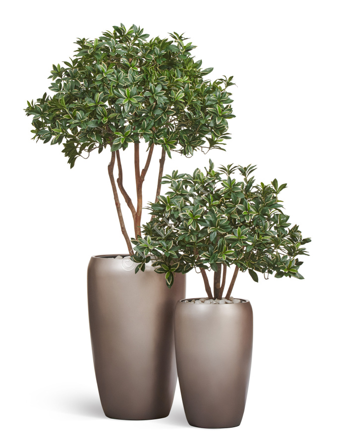 Кашпо TREEZ Effectory - Metal - Высокий округлый конус - Лаковое тёмное серебро фото