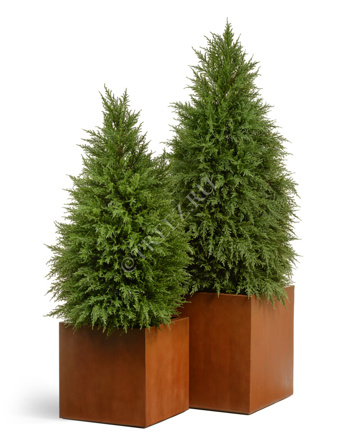 Кашпо TREEZ Effectory - Corten Steel - Куб - Кортеновская сталь - Бархатистая окись фото