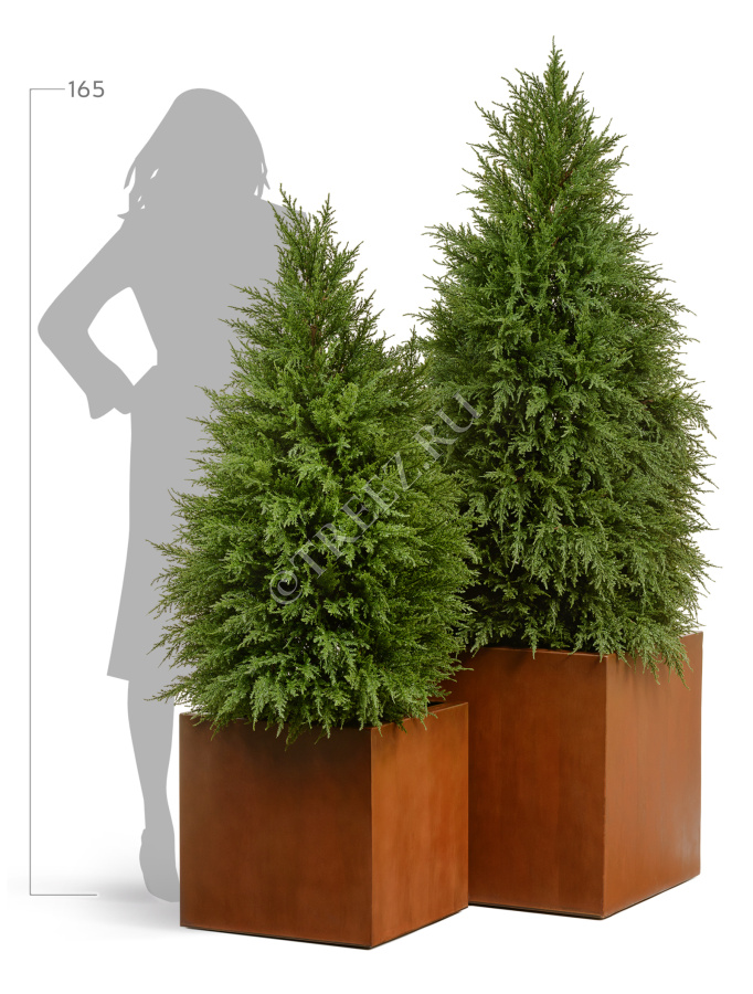 Кашпо TREEZ Effectory - Corten Steel - Куб - Кортеновская сталь - Бархатистая окись фото