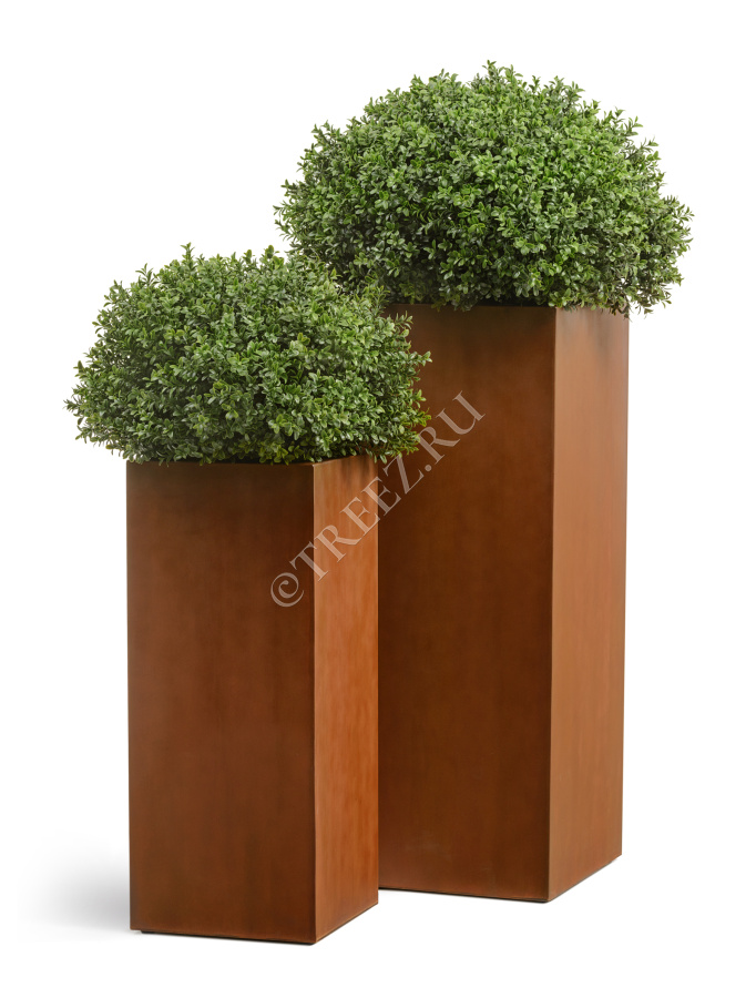 Кашпо TREEZ Effectory - Corten Steel - Высокий куб - Кортеновская сталь - Бархатистая окись фото
