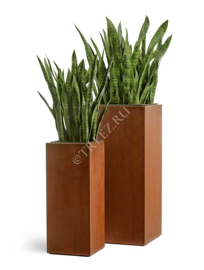 Кашпо TREEZ Effectory - Corten Steel - Высокий куб - Кортеновская сталь - Бархатистая окись фото
