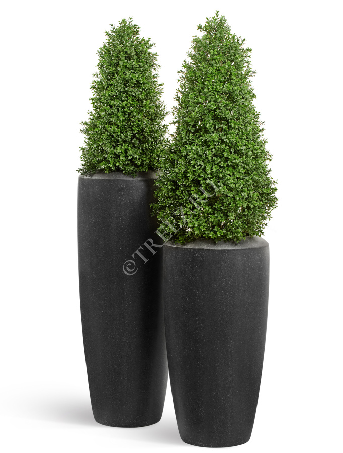 Кашпо TREEZ Effectory - Quartz - Высокий конус - Чёрный кварц фото