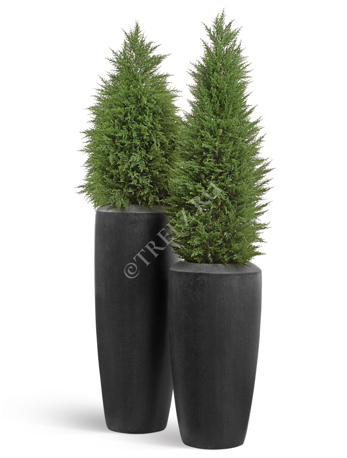 Кашпо TREEZ Effectory - Quartz - Высокий конус - Чёрный кварц фото