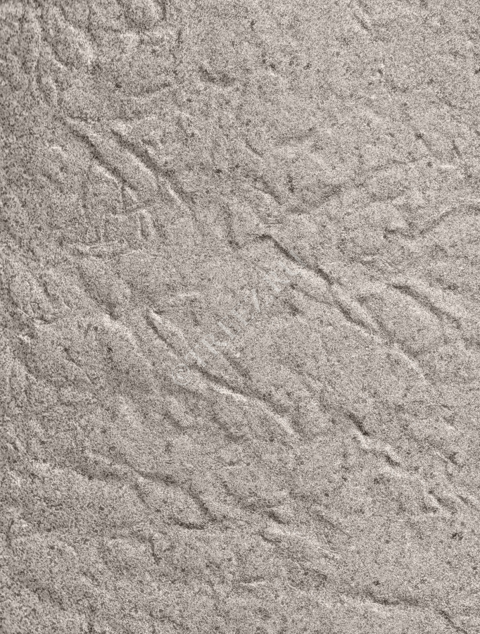 Кашпо TREEZ Effectory - Organic - Низкая чаша - Белый песок фото