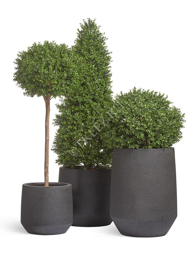 Кашпо TREEZ ERGO - Hard Rock - Трапециевидная чаша - Чёрный песок фото