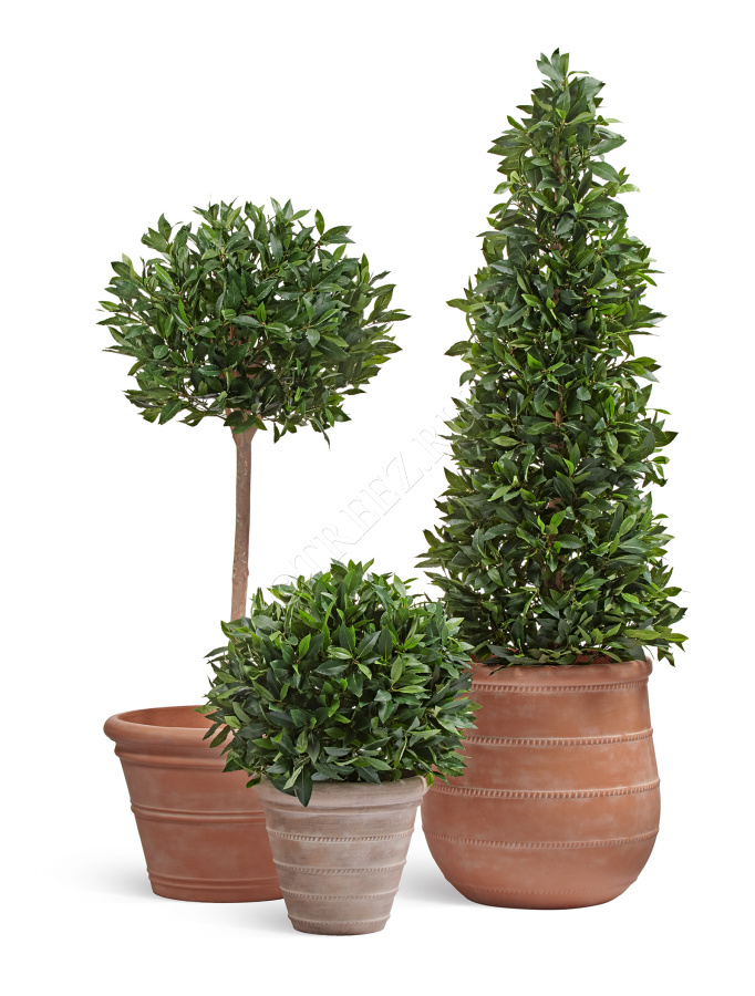 Кашпо TREEZ ERGO - Italica - Классический конус - Капучино фото