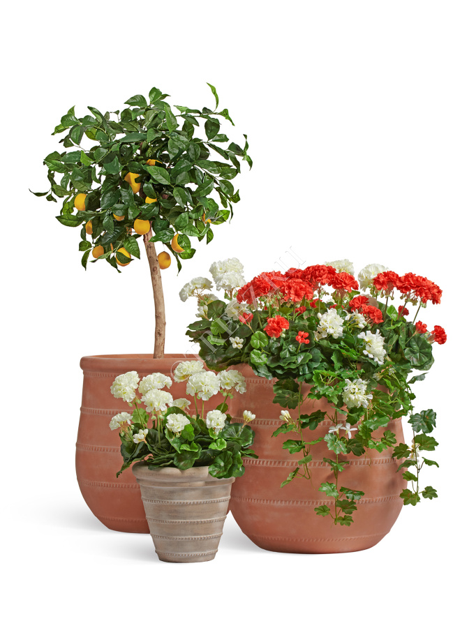 Кашпо TREEZ ERGO - Italica - Высокая чаша - Терракот  фото