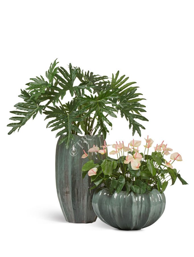 Кашпо TREEZ Effectory - Aura - Высокая Кашпо-ваза - Изумрудный лак фото