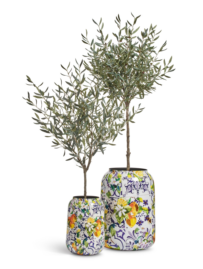 Кашпо TREEZ Effectory - Savage Garden - Design-ваза - Capri фото