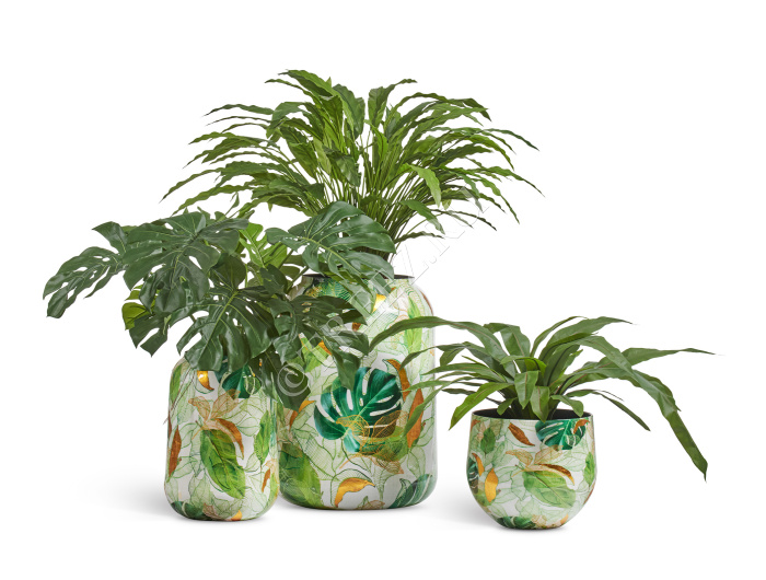 Кашпо TREEZ Effectory - Savage Garden - Чаша - Botanical фото