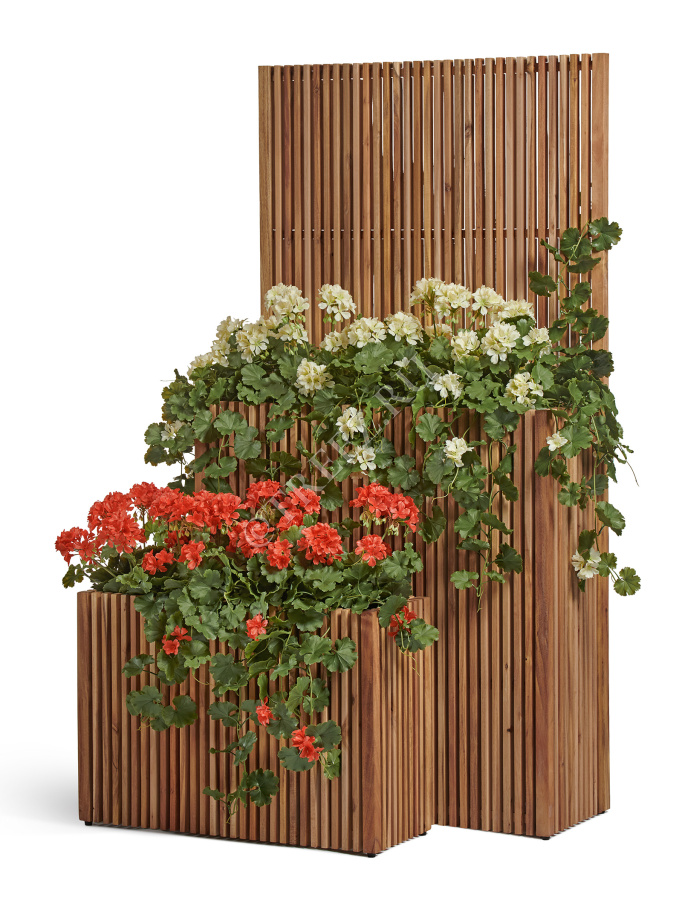 Кашпо TREEZ Effectory - Timberline - Низкий дивайдер - Тёмное дерево фото