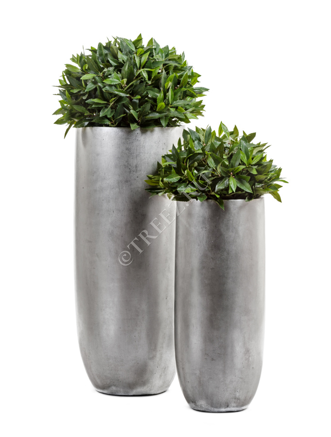 Кашпо TREEZ Effectory - Metal - Высокий округлый конус - Серебро фото
