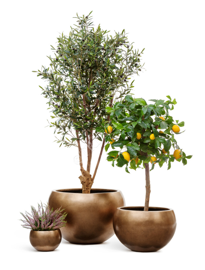 Кашпо TREEZ Effectory - Metal - Полусфера - Тёмное матовое золото фото