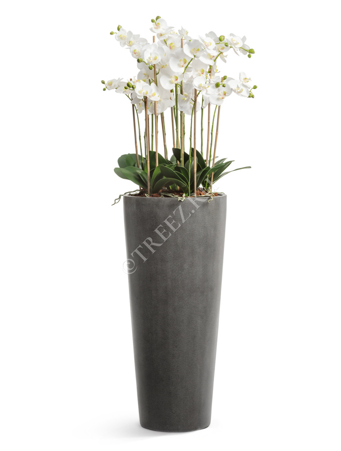 Кашпо TREEZ Effectory - Beton - Высокий конус - Тёмно-серый бетон фото