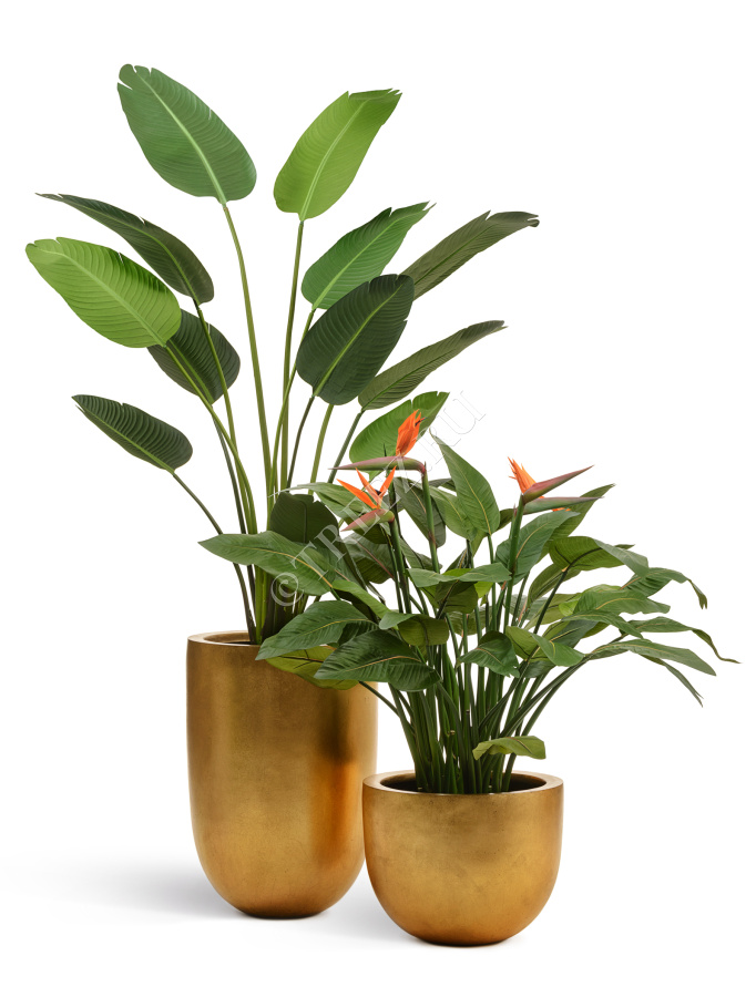 Кашпо TREEZ Effectory - Metal - Низкая конус-чаша - Сусальное золото фото