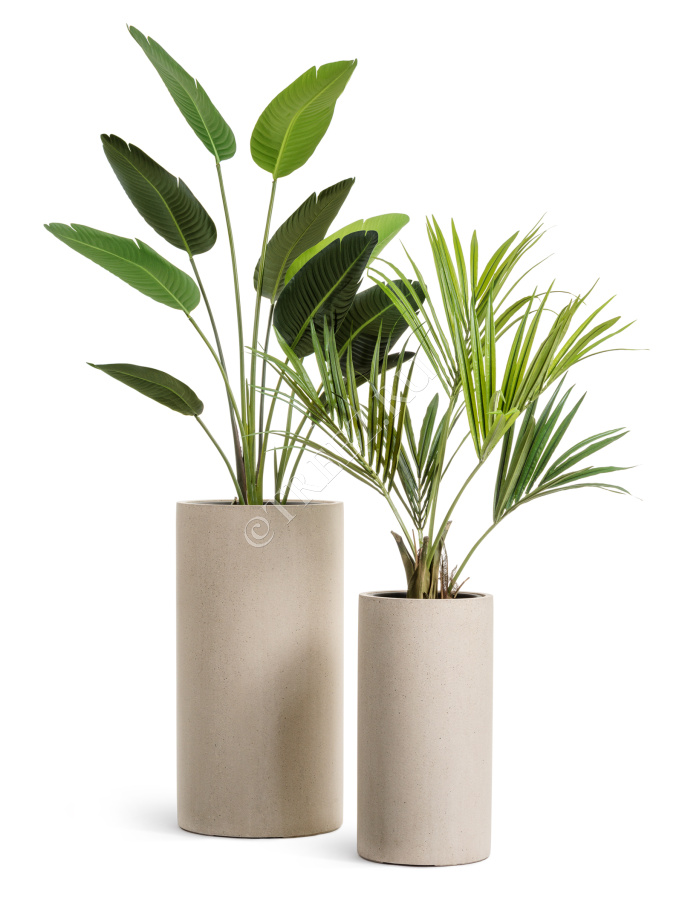 Кашпо TREEZ Effectory - Beton - Высокий цилиндр - Белый песок фото