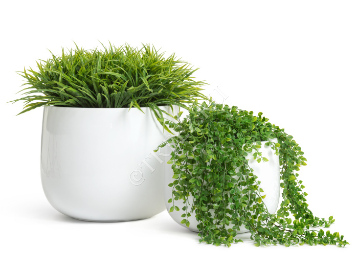 Кашпо TREEZ Effectory - Gloss - Низкая широкая чаша - Белый глянцевый лак фото