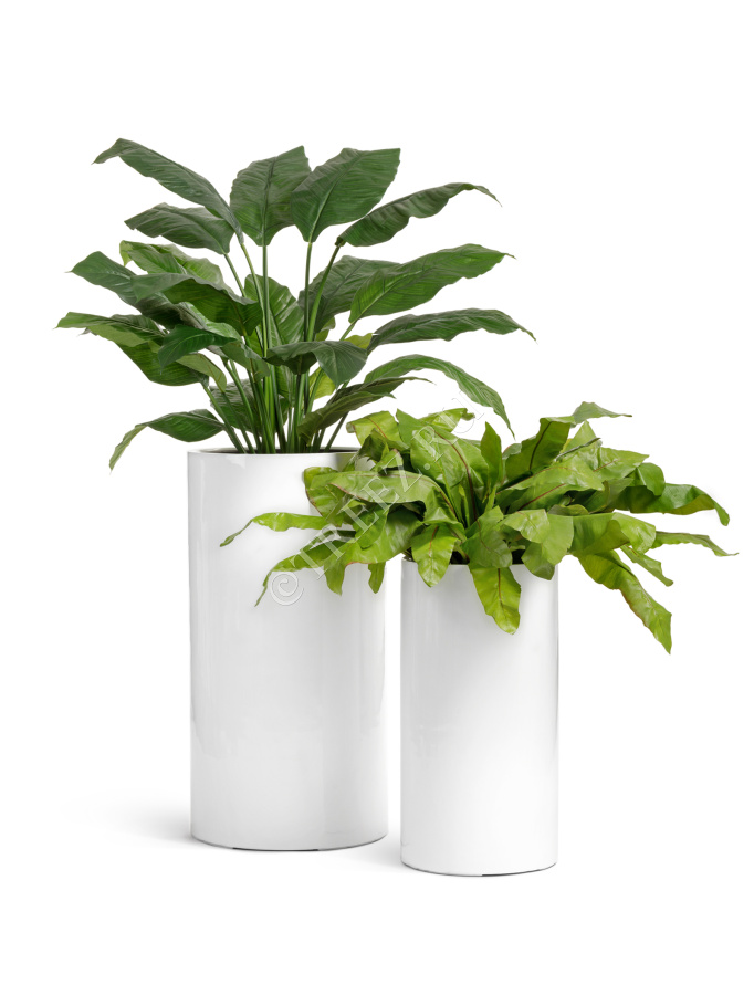 Кашпо TREEZ Effectory - Gloss - Цилиндр высокий- Белый глянцевый лак фото