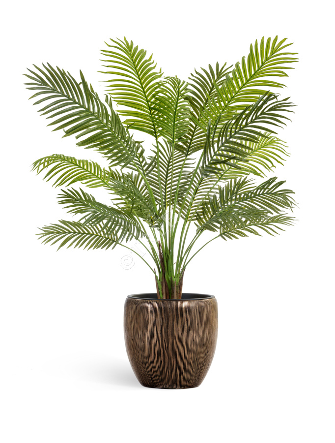 Кашпо TREEZ Effectory - Wow - Конус-Чаша - Тёмное матовое золото фото