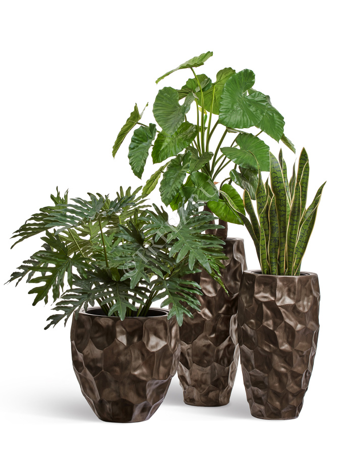 Сет № 14 - Композиция в кашпо Treez Effectory Metal Design Crumple Чернёная бронза фото