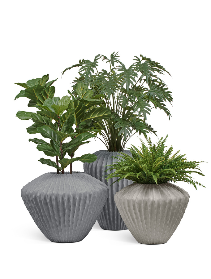 Сет № 18 - Композиция Триптих с Филодендроном Ксанаду в кашпо Treez Effectory Moho фото