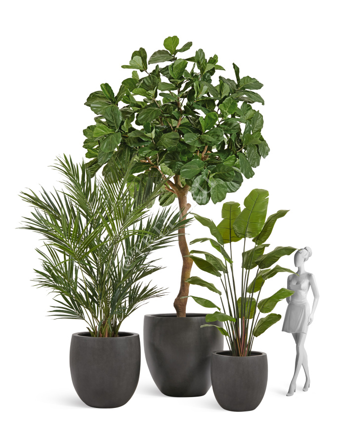 Сет № 20 - Композиция с Фикусом Лирата Гигант и Стрелицией в кашпо Treez Effectory Beton фото
