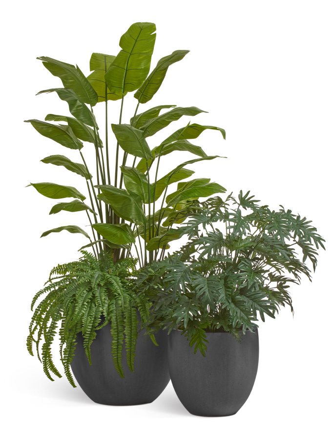 Сет № 36 - Композиция со Стрелициями, Филодендроном и Папоротником в кашпо Treez Effectory Beton фото