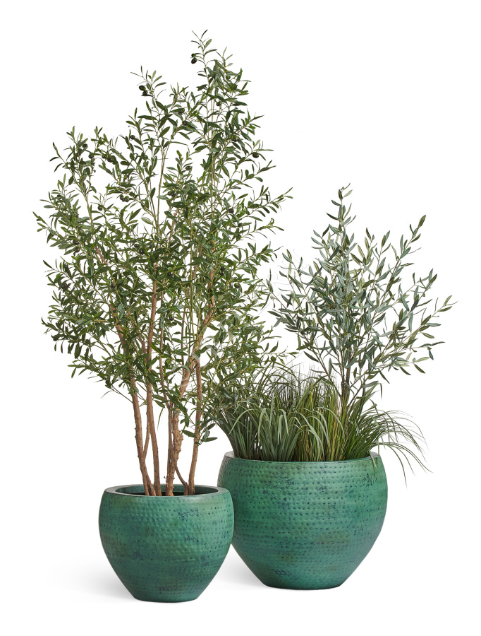 Сет № 66 - Композиция с Оливами и Лемонграссом в кашпо Treez Effectory Ron фото