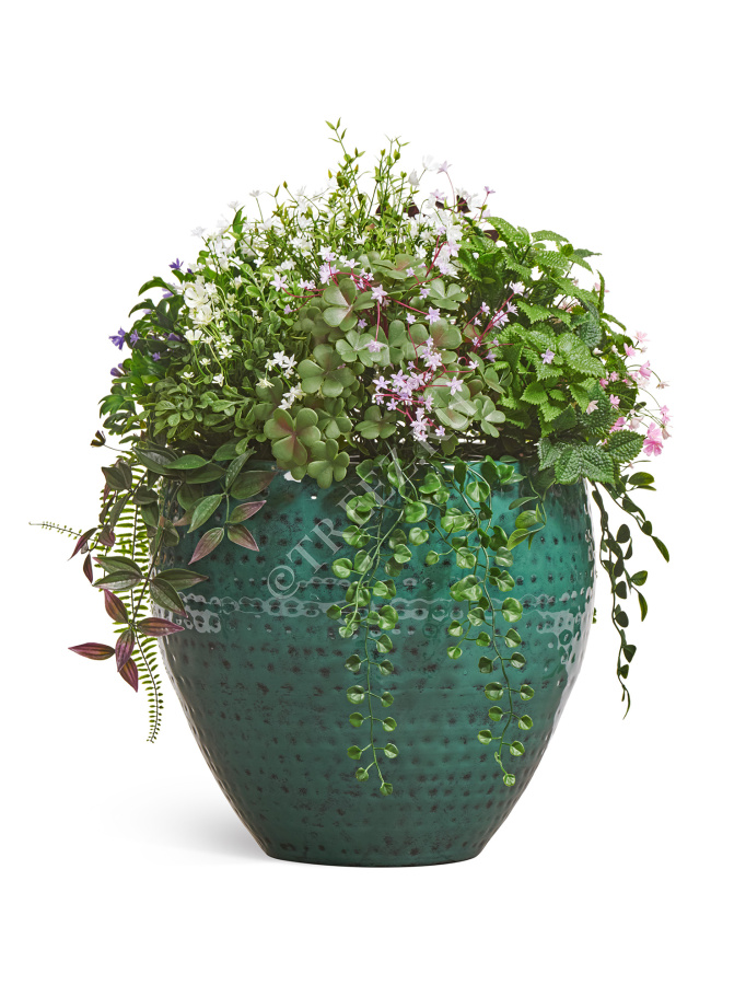 Сет № 97 - Композиция с альпийскими травами в кашпо Treez Effectory Ron фото