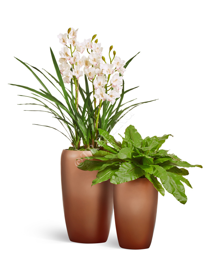 Сет № 101 - Композиция с орхидеей в матовых кашпо Treez Effectory Metal фото