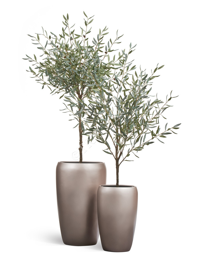 Сет № 103 - Композиция с оливами Prime в матовых кашпо Treez Effectory Metal фото