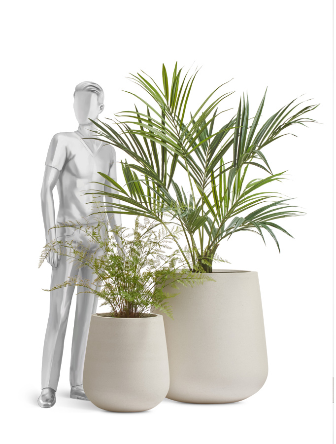 Сет № 110 - Композиция с пальмой в кашпо Treez Effectory Fine Rock фото