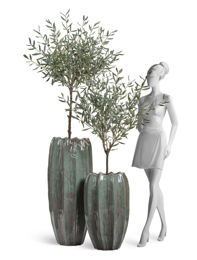 Сет № 117 - Композиция с оливами Prime в кашпо Treez Effectory Aura фото