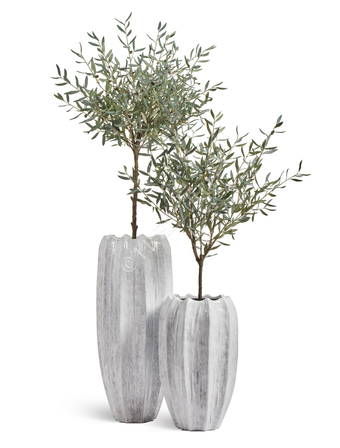 Сет № 117 - Композиция с оливами Prime в кашпо Treez Effectory Aura фото