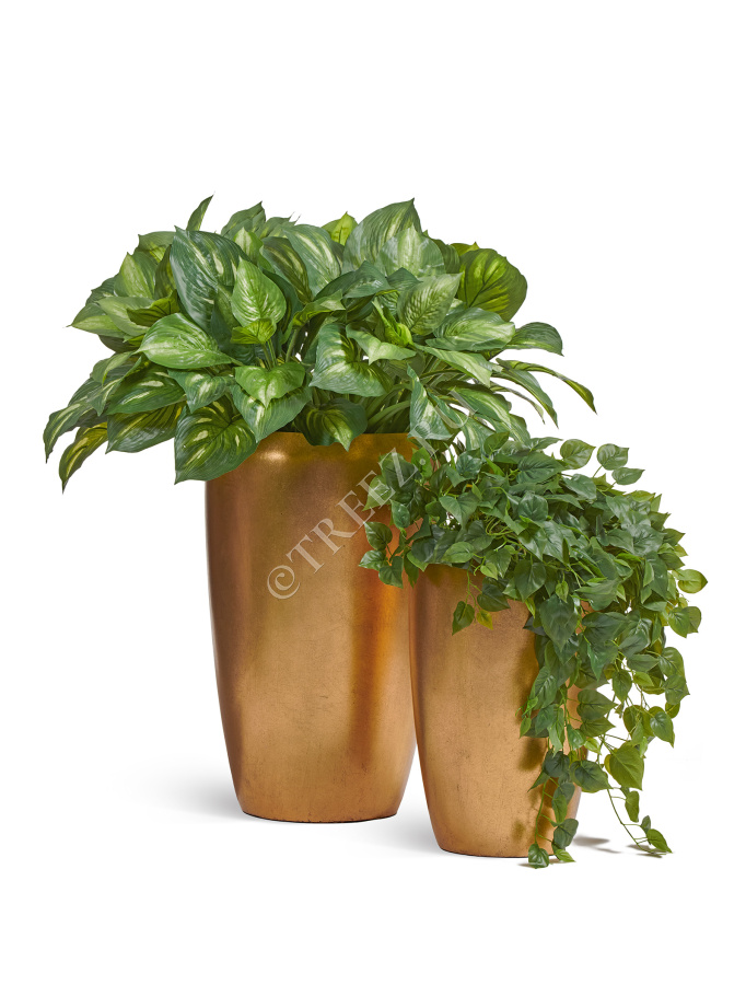 Сет № 127 - Композиция с хостами и филодендроном в золотых кашпо Treez Effectory Metal фото