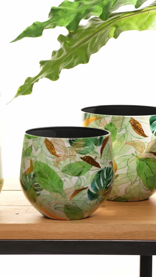 Кашпо TREEZ Effectory - Savage Garden - Чаша - Botanical фото