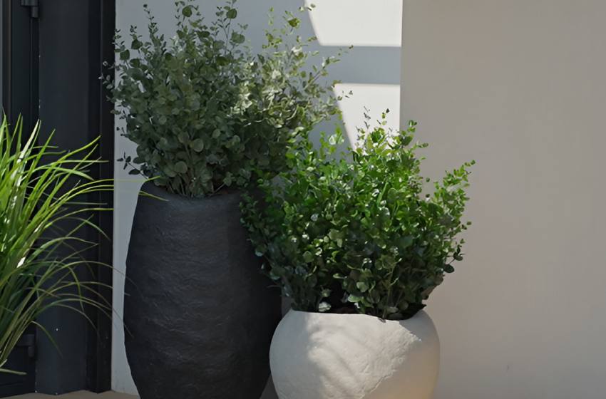 Искусственный эвкалипт: просто, стильно, элегантно