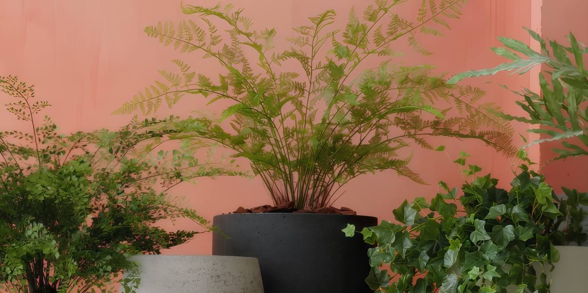 Искусственный аспарагус