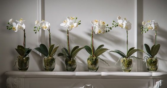 Горшечные искусственные растения – идеи для интерьера