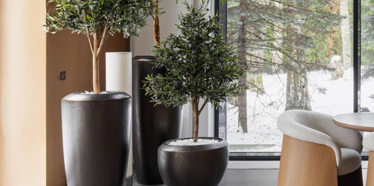 Визуальная иерархия растений в интерьере