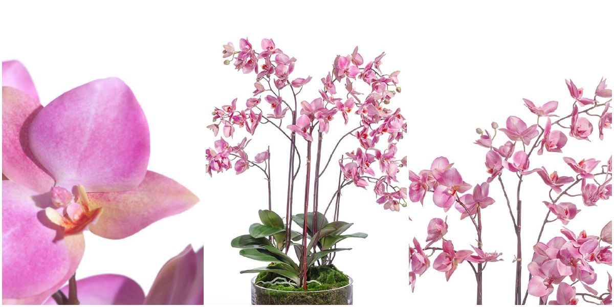 Композиции из искусственных орхидей для современного интерьера