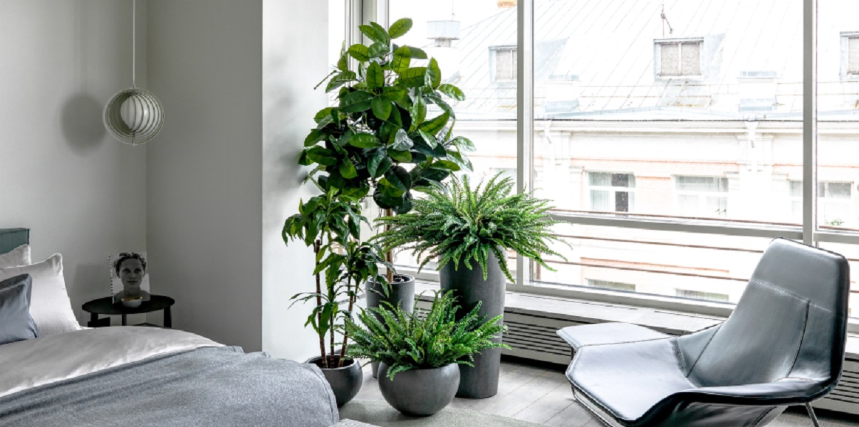 Меняют пространство: топ-5 стильных искусственных растений для вашего дома