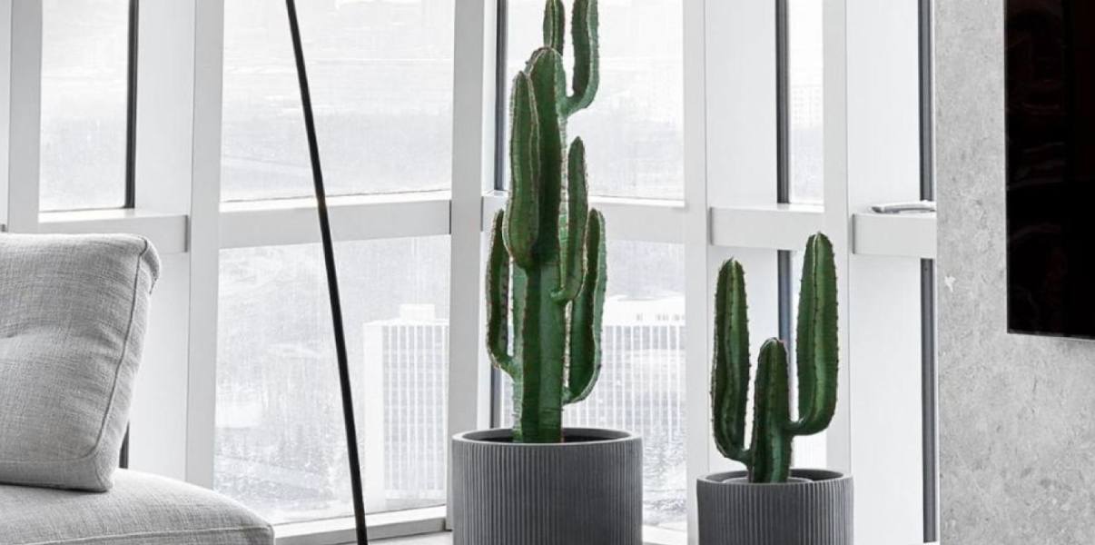 Как управлять контрастом в фитодизайне