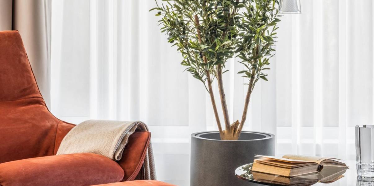 Контраст и баланс в фитодизайне