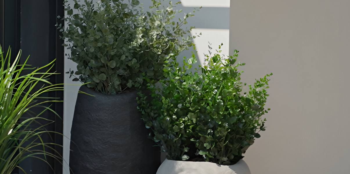 Искусственный эвкалипт