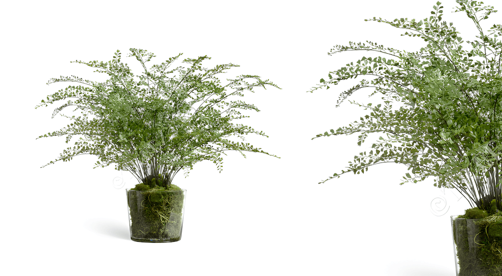 искусственные цветы treez скусственные цветы tree