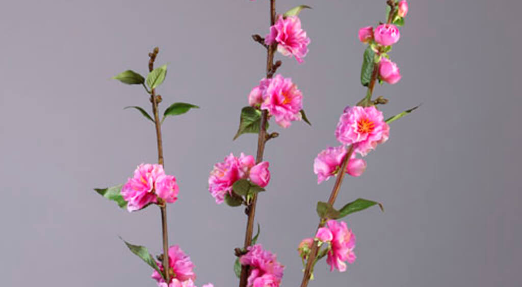 Ветка цветущей сакуры Элит махровая сиренево-розовая фото