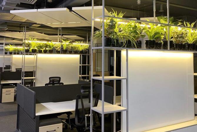 Искусственные растения в офисе
