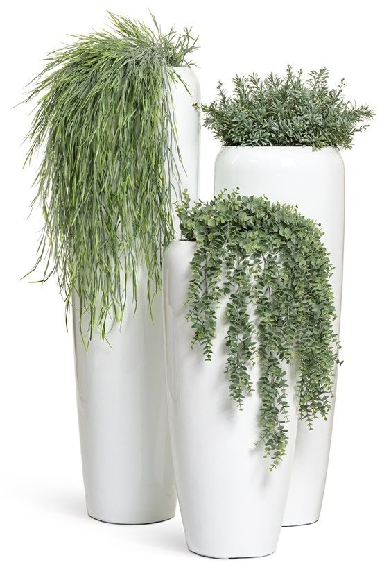 Белые кашпо с зелеными растениями