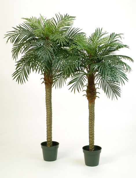Искусственные пальмы: красивый декор с летним настроением
